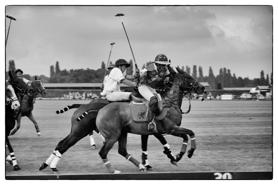 Ole Unleashed: Polo Party Preview