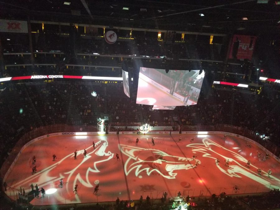 The Coyotes and Predators hit the ice before the game.