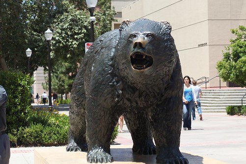 UCLA statue of Bruin outside campus of UCLA (Flickr)