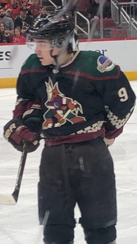 Clayton Keller scores two goals in 6-2 victory, makes strong statement for All-Star fan vote, Raanta hurt