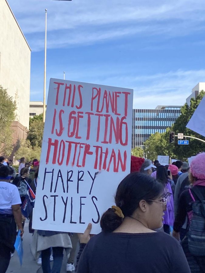 Womens March 2020 in Los Angeles, California
