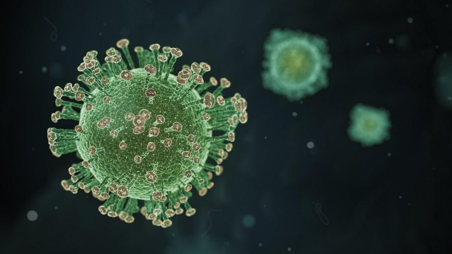 Coronavirus (COVID-19) - CG Illustration.