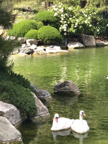 Japanese Friendship Garden of Phoenix