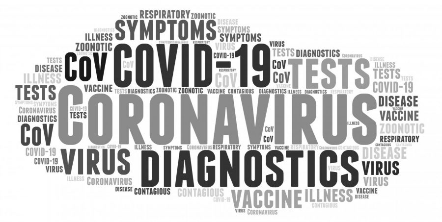 New+York+becomes+fourth+state+to+record+case+of+B.1.1.7+coronavirus+variant