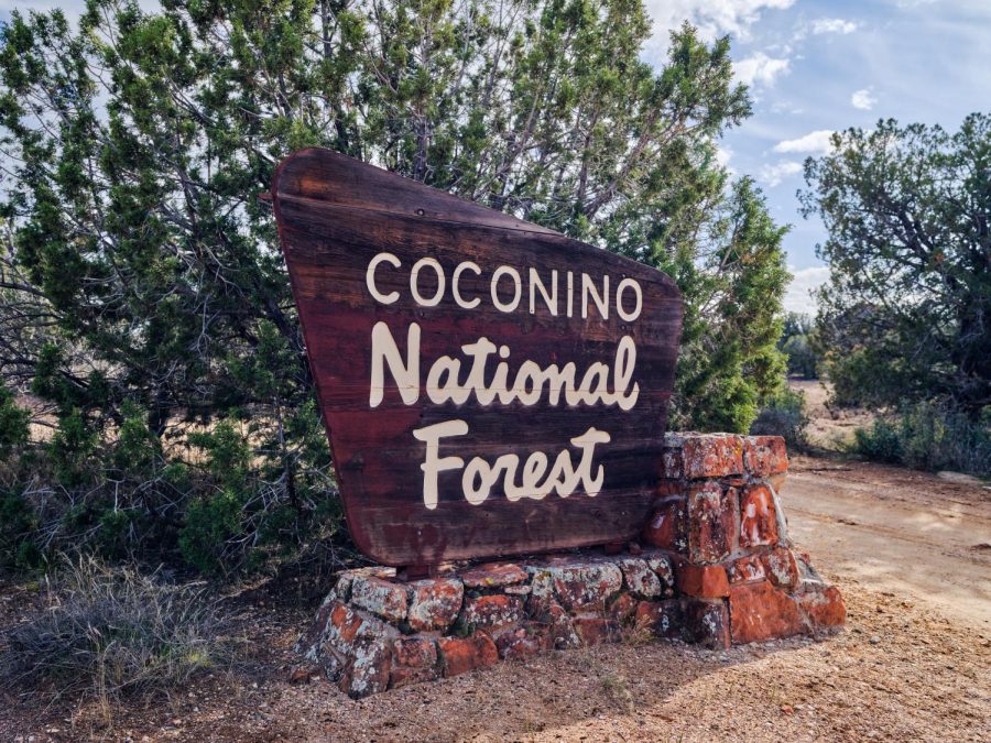 Rains and cooler weather in the northern part of Arizona has prompted the reopening of Coconino and Kaibab national forests