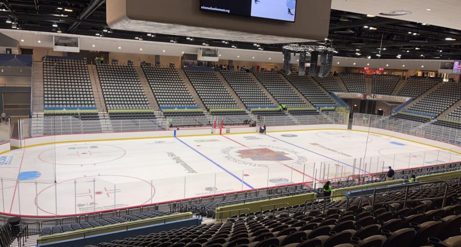 A Tucson Roadrunners player was recently subjected to a racist taunt.