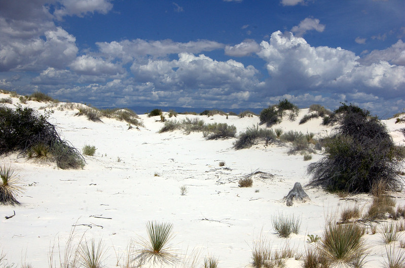 A+portion+of+White+Sands+National+Park+in+New+Mexico.