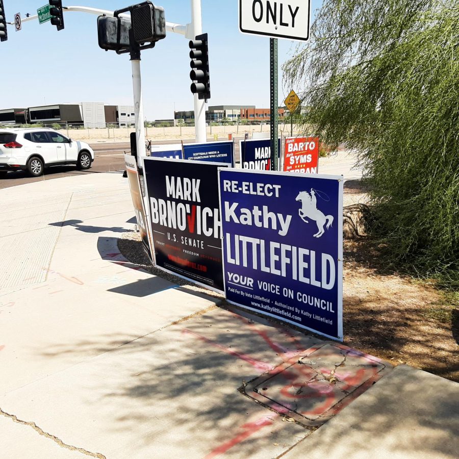 This group of campaign signs at E. McDonald and Pima Rd. seem relatively safe.