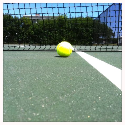 A tennis ball and net