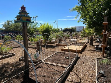 Community gardens at the Mesa Urban Garden located at 212 E. First Ave. Mesa