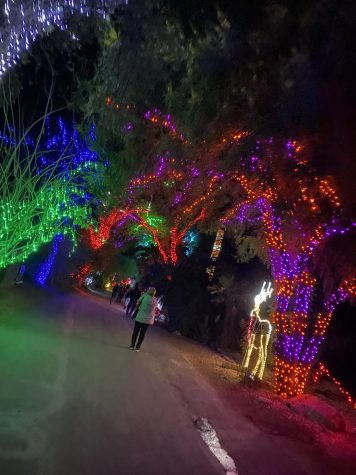 ZooLights features several new experiences