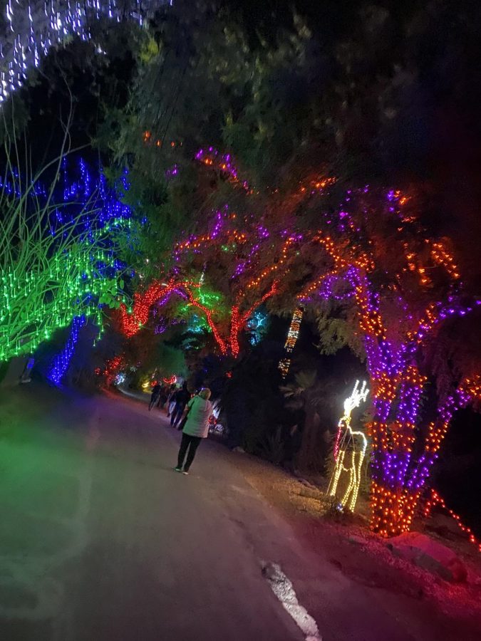 ZooLights+features+several+new+experiences