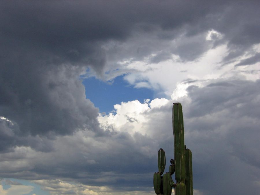 Will El Niño produce a wet and cooler Arizona monsoon season—it’s complicated