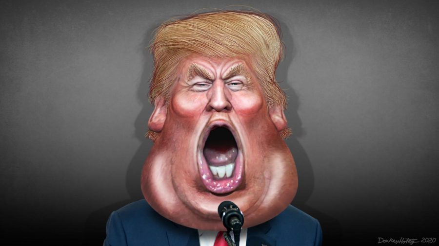 Donald Trump caricature by DonkeyHote