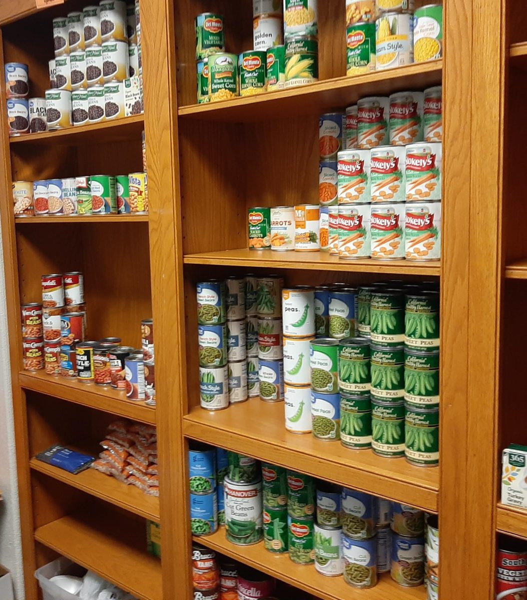 A+portion+of+the+non-perishable+food+items+available+at+Arties+FIT+Market+Resource+Pantry.