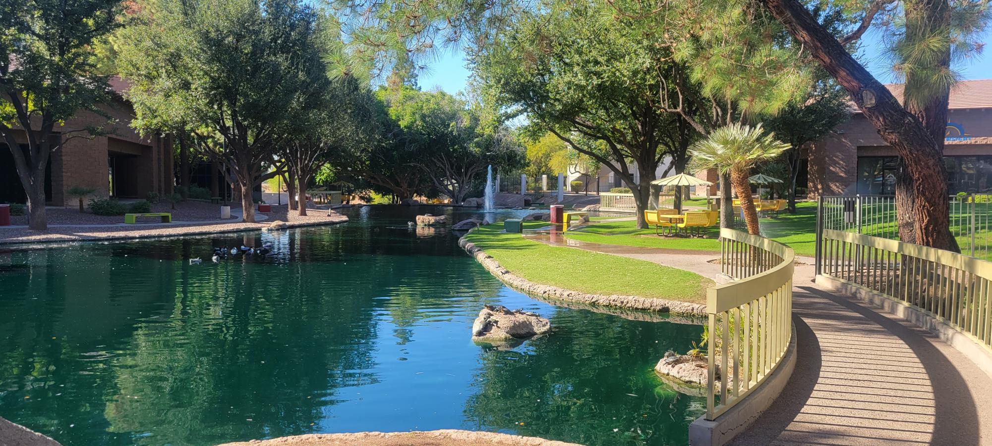 A relaxing area within the campus of SWIHA