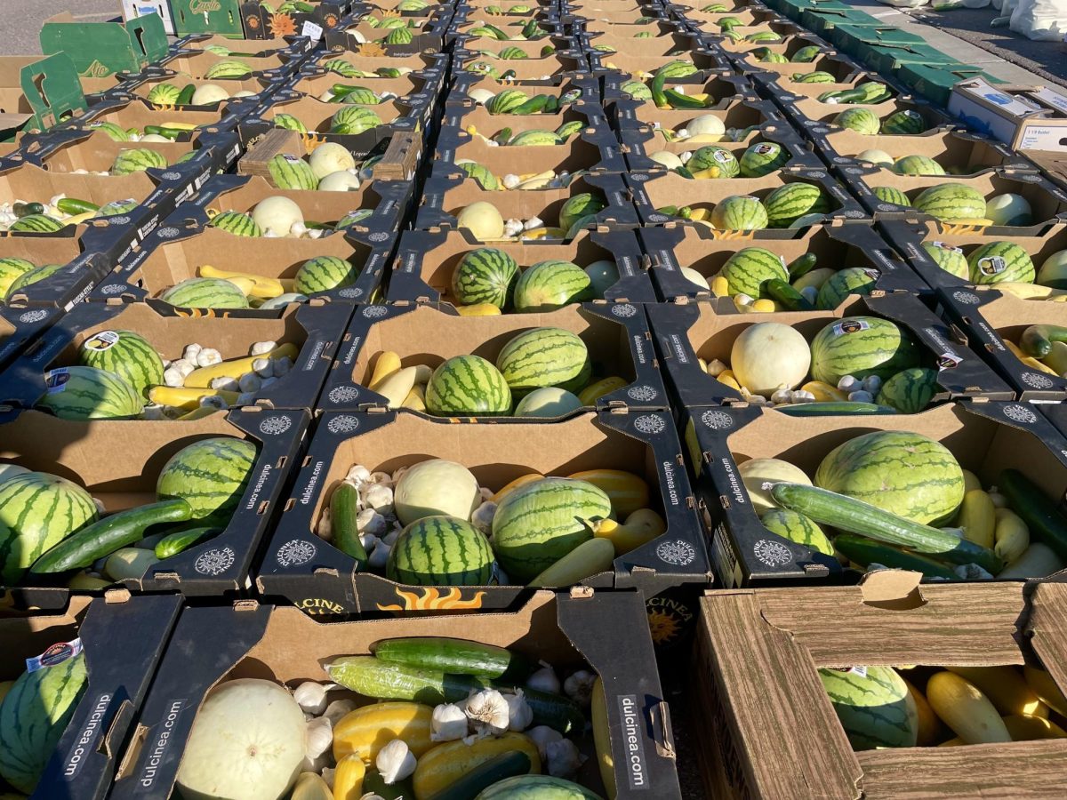 Some of the 600 boxes of fresh produce that were given away Saturday at SCC