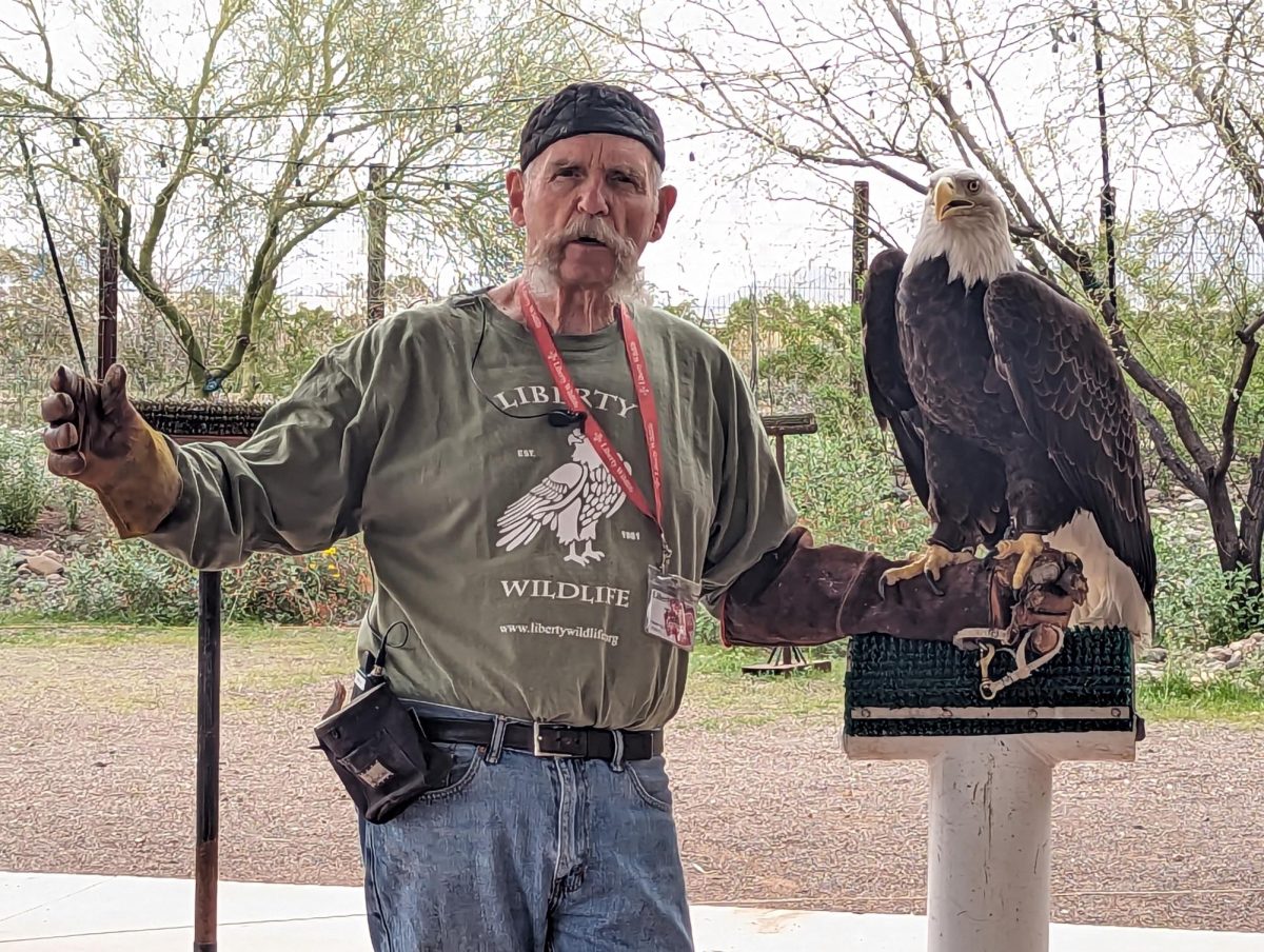 Tim%2C+a+dedicated+volunteer+with+11+years+of+experience%2C+has+gained+extensive+knowledge+about+bald+eagles+over+the+years.+One+such+eagle+%E2%80%94Cochise+found+sanctuary+at+Liberty+Wildlife+due+to+his+playful+antics.