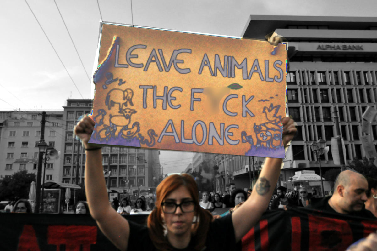Animal+Rights+Protest