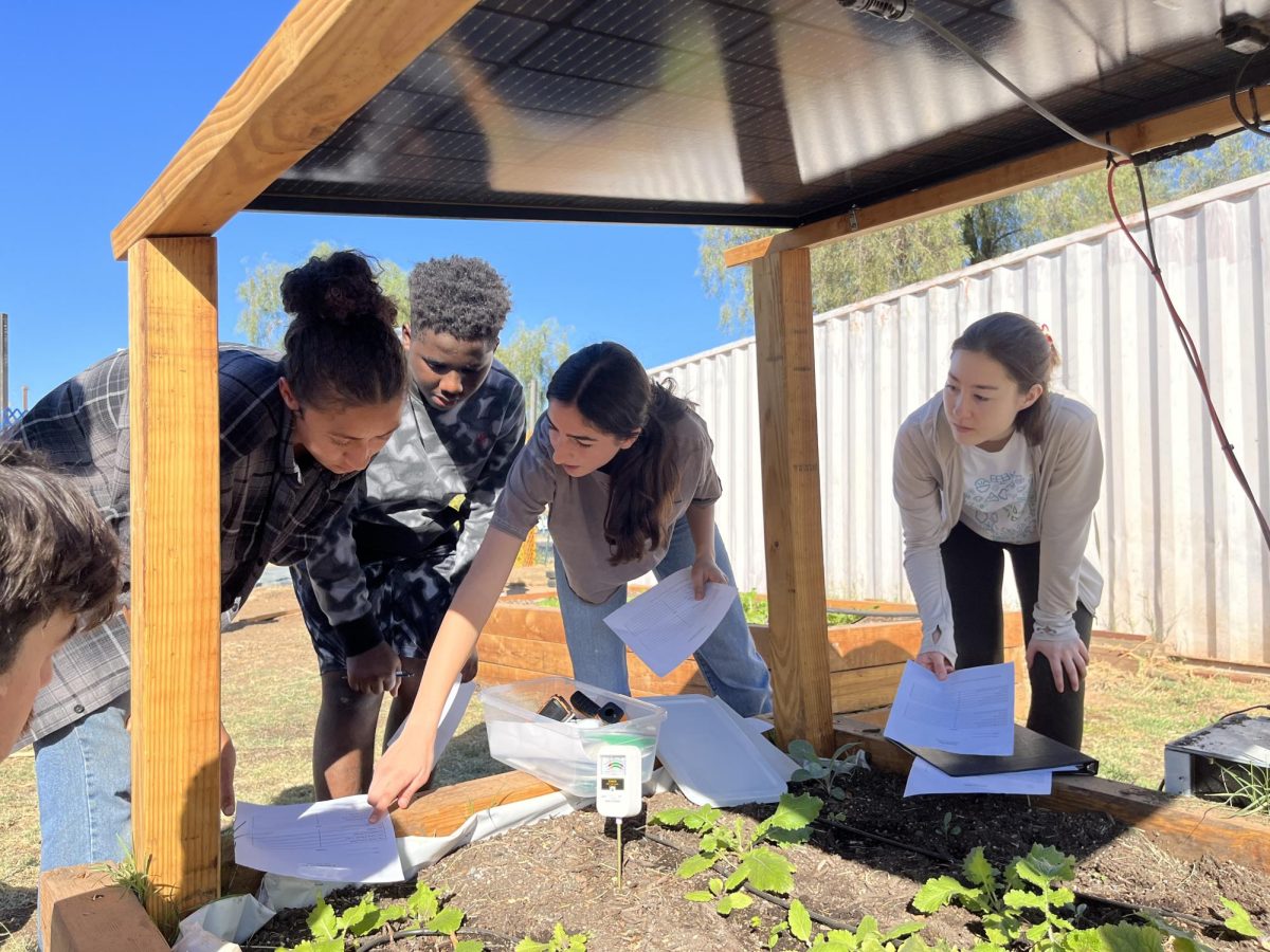 Agrivoltaic data collection workshop for volunteers and community members at Garden of Tomorrow.