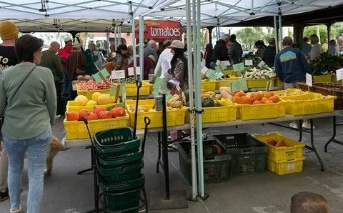 Old Town Scottsdale Farmer's Market