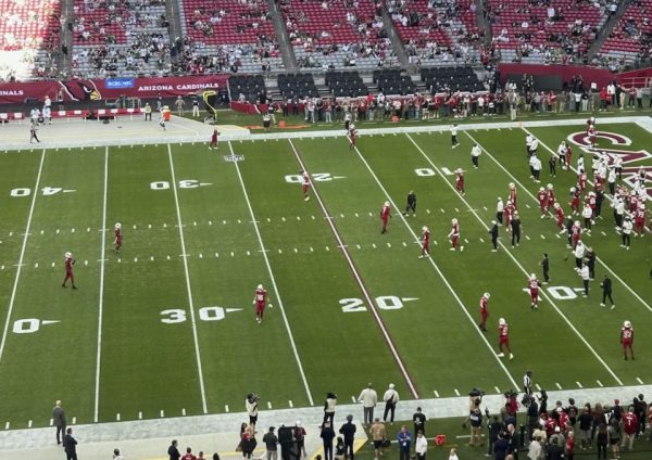 Arizona Cardinals on the field for practice drills.