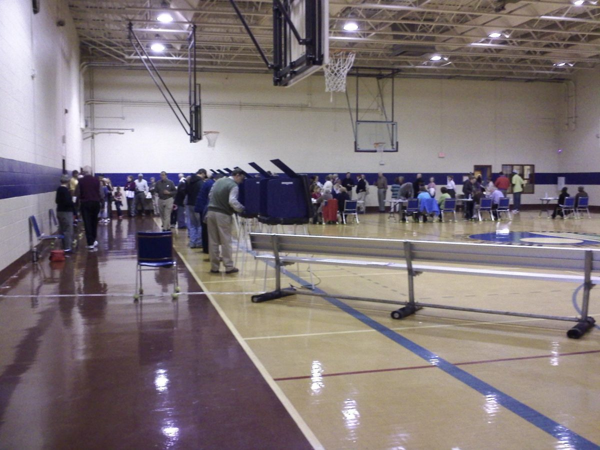 "I voted" Despite long lines to vote in an unidentified city