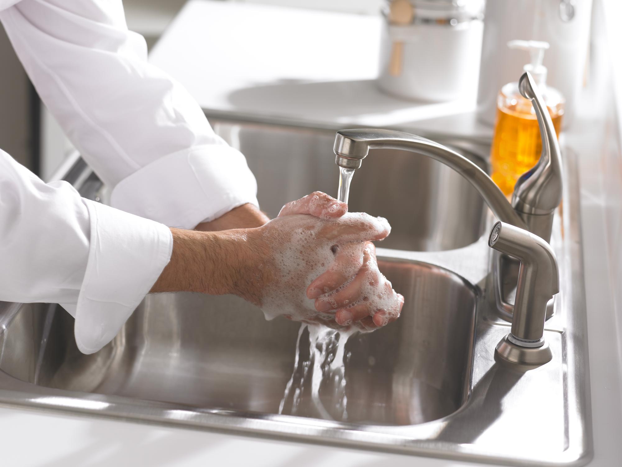 USDA courtesy photo, proper handwashing, soap, warm water, repeat.